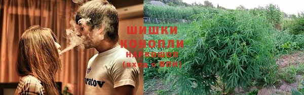 молекула духа Аркадак