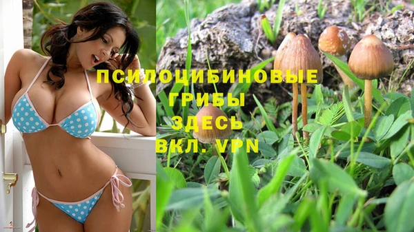 гашик Армянск