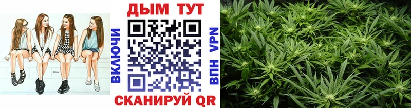 Конопля Ganja  omg   Мурино  цена наркотик 